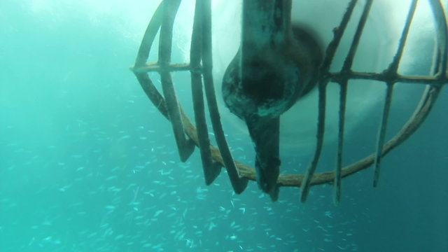 View of a boat propeller underwater