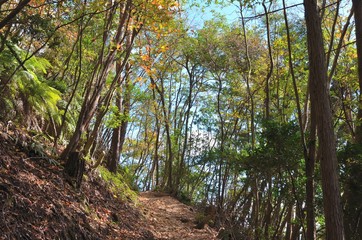 京都一周トレイル　大文字山
