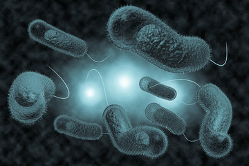 Cholera Bacteria