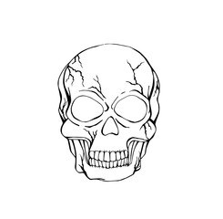 Vector of Abstract Skull with crack 