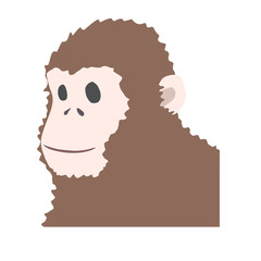 Portrait of a smiling monkey vector
