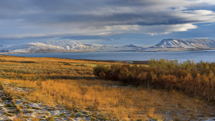 Iceland, Beautiful arctic landscape, wild field , nature