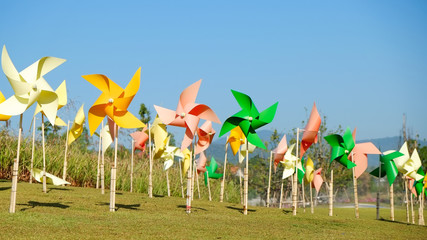 Fototapeta premium Colorful paper windmill on the prairie