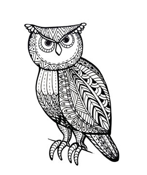 Vector of Owl in zentangle style