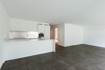 Obraz na płótnie Canvas modern apartment, domestic kitchen