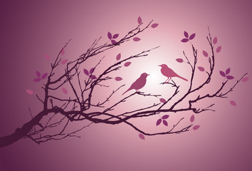 two birds on a branch