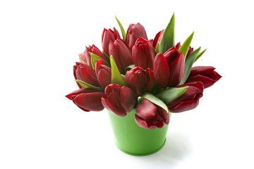 Bouquet of red tulips on white background