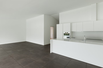 modern apartment, domestic kitchen