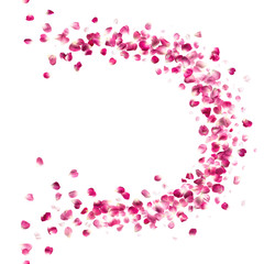pink rose petals curve breeze, each of them studio photographed, vertically repeating and isolated on absolute white