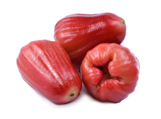 Rose apple isolated on the white background