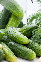 The process of pickling cucumbers in the home kitchen