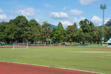 outdoor soccer field with tree and hill