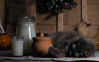 Кувшин молока, маленький горшок, кастрюля с вкусной едой. Сытый, довольный кот лежит на кухонном столе. Уютная деревенская кухня. Доски, скатерть. Видно новогодний венок 