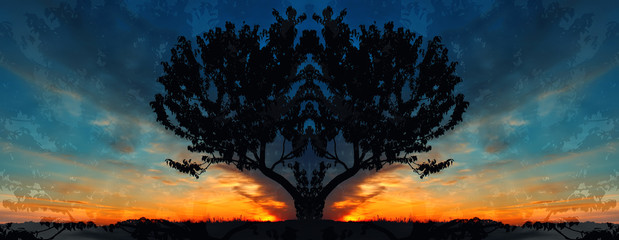 tree on sunrise background symmetry panorama