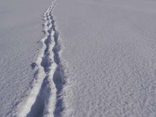 path winter landscape