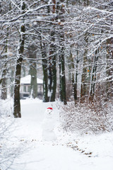 Fototapety na wymiar - Fototapeta24.pl