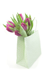 purple tulips in a gift bag