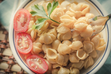 Shell Macaroni and Cheese