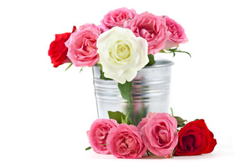 rose in a tin bucket