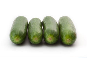 Four fresh green cucumber on a white background