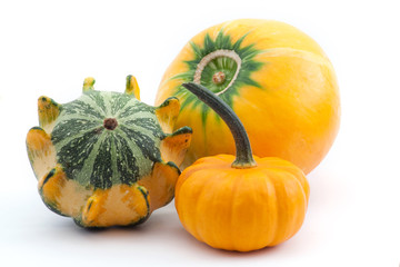 three different yellow pumpkins on white background