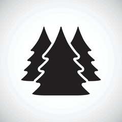 three Christmas trees.