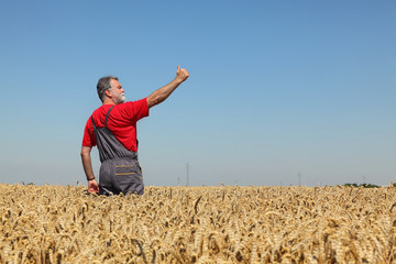 Agriculture, farmer gesturing in wheat field with thumb up