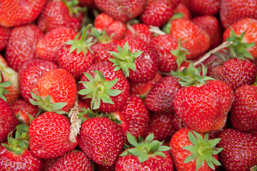 fresh strawberries for sale at farmers market