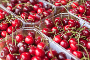 fresh cherries for sale at farmers market