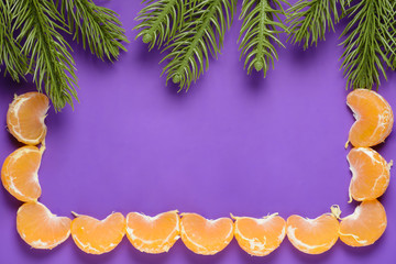 The branches of spruce and tangerine slices