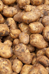 Pile of potatoes at farmers market front focused