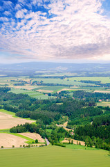 Fototapeta na wymiar rural landscape background with plant fields