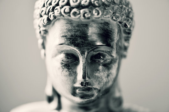 the buddha in duotone