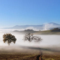 Obraz na płótnie Canvas Panorama of Tuscanian farmland landscape