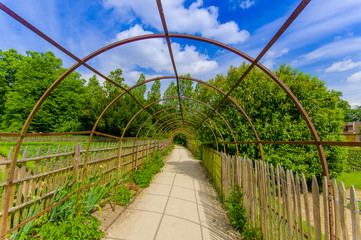 Walking path in Versailles gardens, France