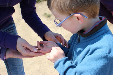 L'enfant et le crabe © d_e_r_i_c