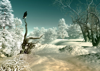 Obrazy na Szkle  Scena Zimowej Krainy Czarów, 3d CG