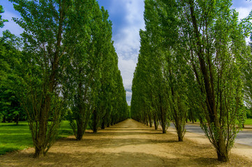 Fototapeta na wymiar Beautiful view of Versailles gardens, Paris, France