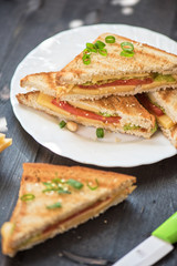 Cheese tasty sandwich