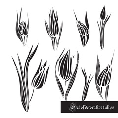 Set of decorative elements, tulips and leaves, black and white
