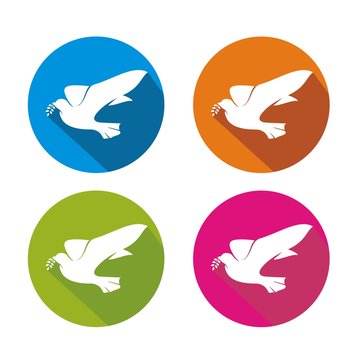 dove flanying symbol peace-