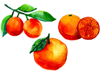 Mandarin oranges