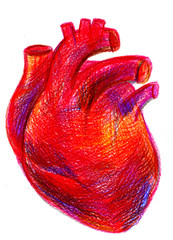 Multicolored red-blood heart pencil drawing