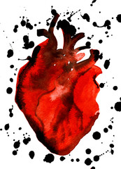 Abstract aquarelle human red-blood heart