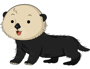 Cute Sea Otter