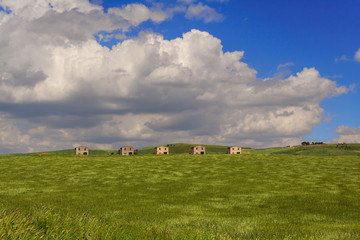 Obraz premium Between Apulia and Basilicata.Hilly landscape with cornfields.ITALY.Farmhouses topped by clouds:cornfield in the wind.