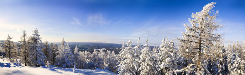 Panorama of snowy forest, Sunset and Snow-covered forest on the Ural mountain