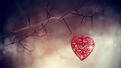Red heart on prickly branches.