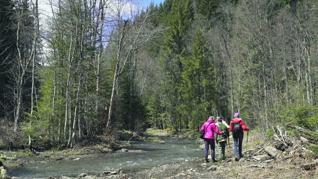 group of hikers walking along the mountain stream in forest slow motion