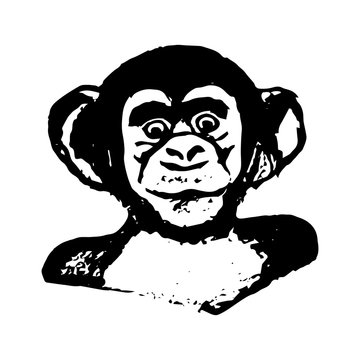 Monkey head (graphics) - chimpanzees